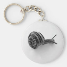 Snigel Nyckelringar
