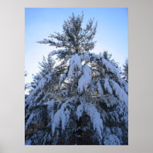 Snö 12 affisch