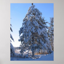 Snö 13 affischer