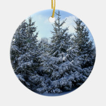 Snö Laden vintergrönt gruppera Jul Dekorationer