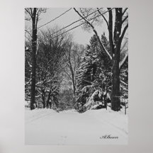 Snöfotografi Print