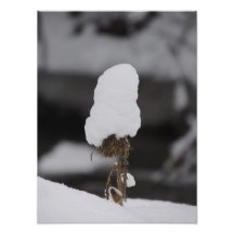 Snöhatt Konstfoto