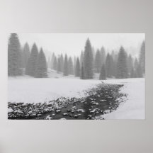 Snöig liten vik print