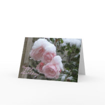 snöig rosa ros, grattis på födelsedagen!