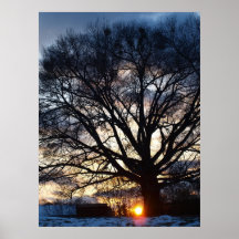 Snöig solnedgång print