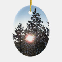 Snöig soluppgång i Colorado Julgranskula