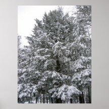 Snöig träd affischer