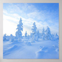 snöig trees i Lapland i Finland Posters
