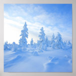 snöig trees i Lapland i Finland Posters