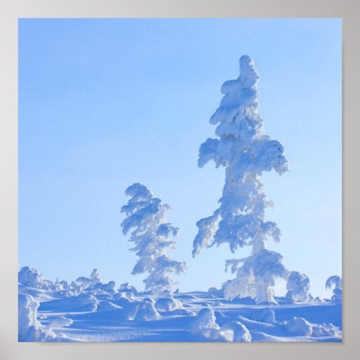 snöig trees i Lapland i Finland Print