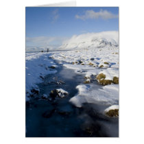 Snöig Winterland kort