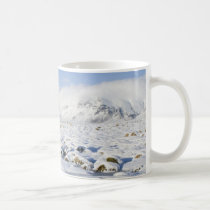 Snöig Winterland muggar