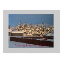 snöträd i baksida, "snöig gräs i Virginia ", Vykort