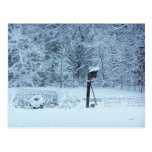 Snöträdgård Vykort