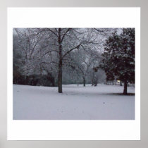 Snow Scape Affisch
