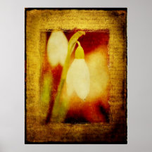 Snowdrop med strukturaffischen