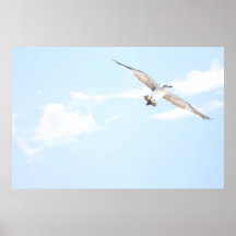 Soaring Affisch