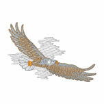 Soaring örn
