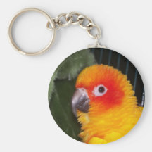Sol Conure Nyckel Ring