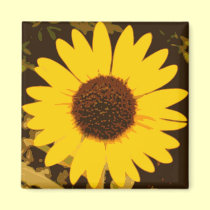 Solig solros magneter