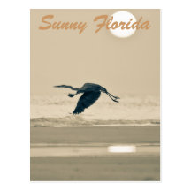 Soliga Florida Vykort