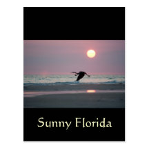 Soliga Florida Vykort