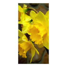 Soliga Petals Anpassade Foto Kort