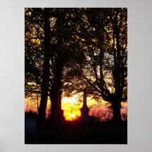 Solnedgång mellan gravar posters