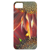 Solros iPhone 5 Case-Mate Skydd