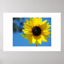 Solros Print