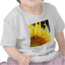 Solros Tee Shirts