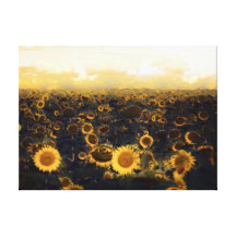 Solros texturerade Scape Canvasdukar Med Gallerikvalitet