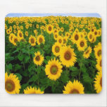 Solrosor Mousepad Musmatta