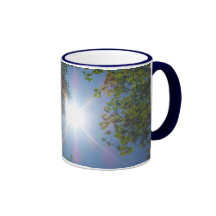 Solskenmugg