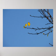 ~ som allt ändrar, ingenting, återstår utan chan posters