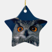 Som man har råd med ugglahelgdaggåva jul dekorationer