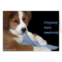 Somebuddy valp kort