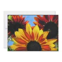 SommarSolsticeparty