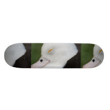 Sömnig ankaskateboarden