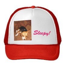 Sömnig beagle trucker kepsar