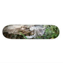 Sömnig kattungeskateboard