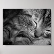 Sömniga Bastian Print