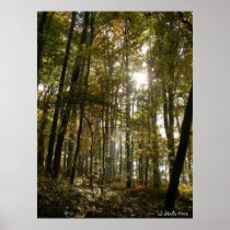 Sonnenlicht & Dunst by  LJ-Studio 2009 Plakatdruck