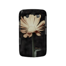 Söt daisy blackberry bold case
