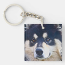 Söt finlandssvensk Lapphund akryl Keychain