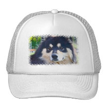 Söt finlandssvensk Lapphund baseballhatt Keps
