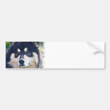 Söt finlandssvensk Lapphund bildekal