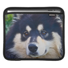 Söt finlandssvensk Lapphund ipad sleeve