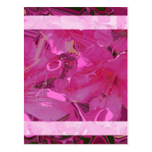 Söt i rosa Azaleas Vykort