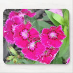 Söt i rosa blommor mus matta